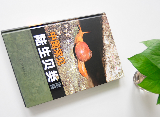 中國(guó)常見陸生貝類圖鑒  精裝書 精裝畫冊(cè)印刷